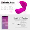 Wearable Panty Vibrator and Adult Sex Toys with APP Remote Control;  Clitoral Vibrator Stimulator Sexual Pleasure Tools for Women - Rose